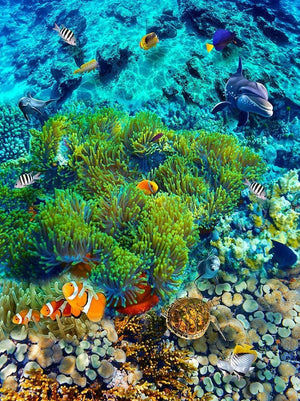 Ocean Bottom With Coral, Plant Life And Fish Self Adhesive Floor Mural, Custom Sizes Available
