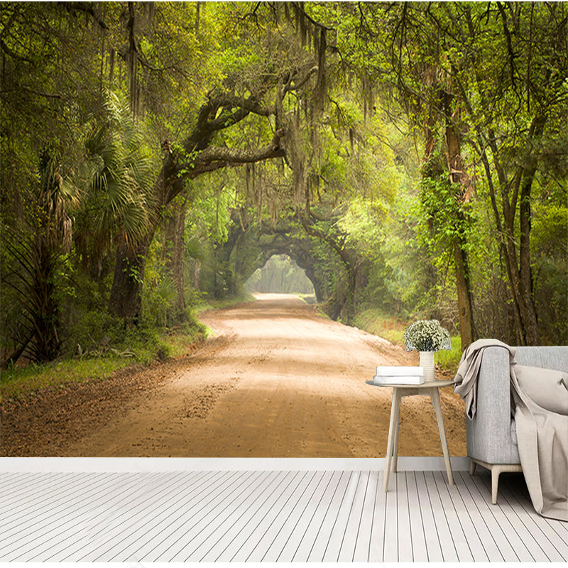 Old Dirt Road Wallpaper Mural, Custom Sizes Available Wall Murals Maughon's 