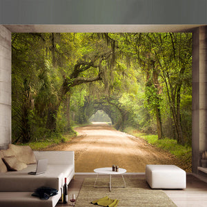 Old Dirt Road Wallpaper Mural, Custom Sizes Available