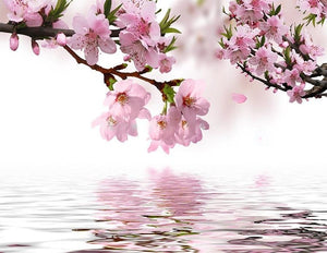 Peach Blossom And Reflection Wallpaper Mural, Custom Sizes Available