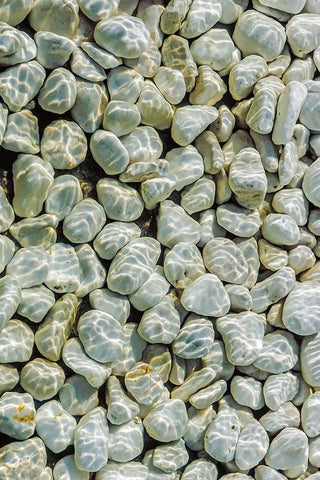 Image of River Rocks Under Sparkling Water Self Adhesive Floor Mural, Custom Sizes Available Maughon's 