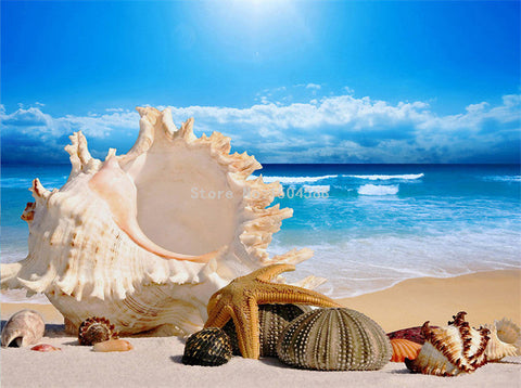 Image of Self Adhesive Beach Shells Close up Bathroom Mural, Custom Sizes Available Wall Murals Maughon's 