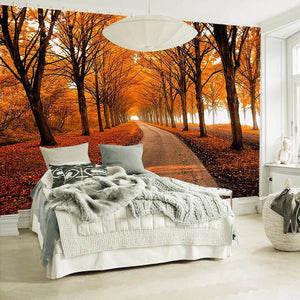 Serene Autumn Tree Lined Road Wallpaper Mural, Custom Sizes Available