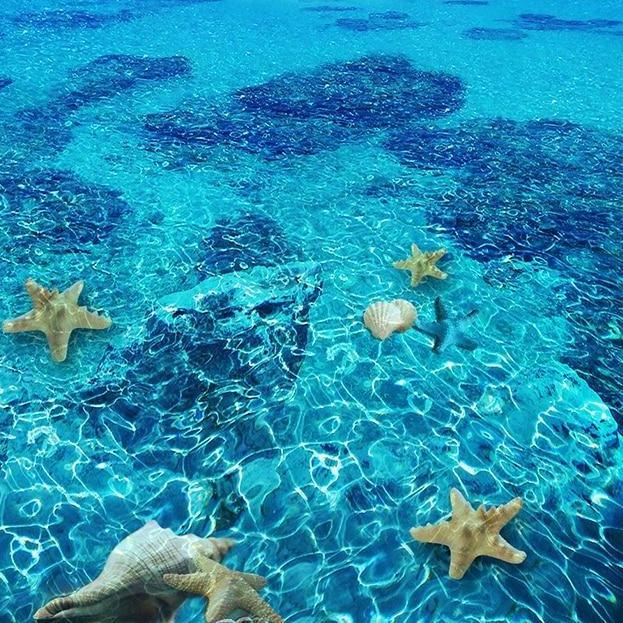 Starfish Lagoon PVC Vinyl Floor Mural, Self-Adhesive, Custom Sizes Available Household-Wallpaper-Floor Maughon's 