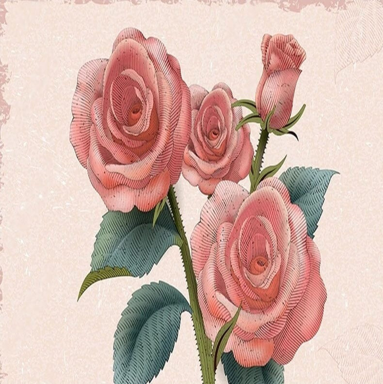 Stylised Retro Red Roses Wallpaper Mural, Custom Sizes Available Wall Murals Maughon's 