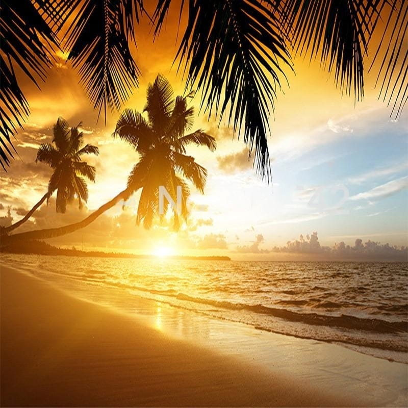 Beautiful Sunset on the Beach Wallpaper Mural, Custom Sizes Available