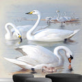 Swans Lake Scenery Wallpaper Mural, Custom Sizes Available Wall Murals Maughon's 
