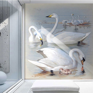 Swans On a Lake Wallpaper Mural, Custom Sizes Available