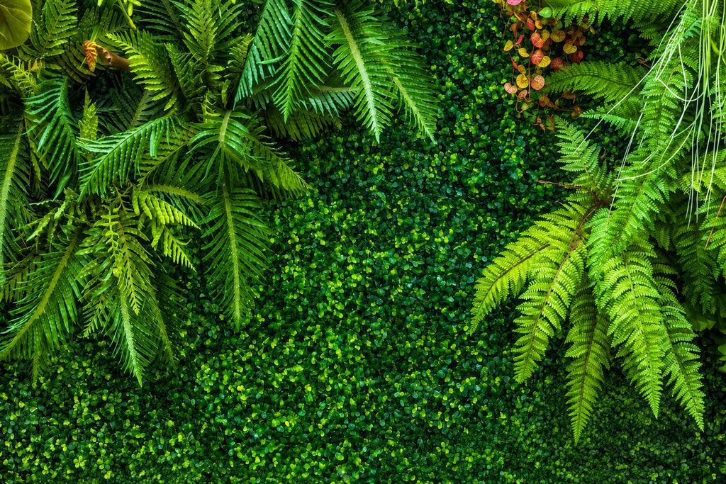 Tropical Foliage Wall Wallpaper Mural, Custom Sizes Available Household-Wallpaper Maughon's 
