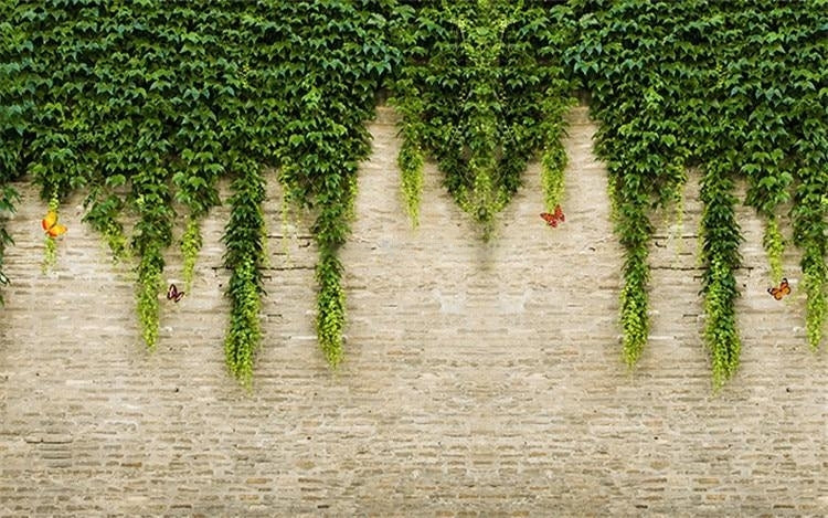 Vine Covered Wall Wallpaper Mural, Custom Sizes Available