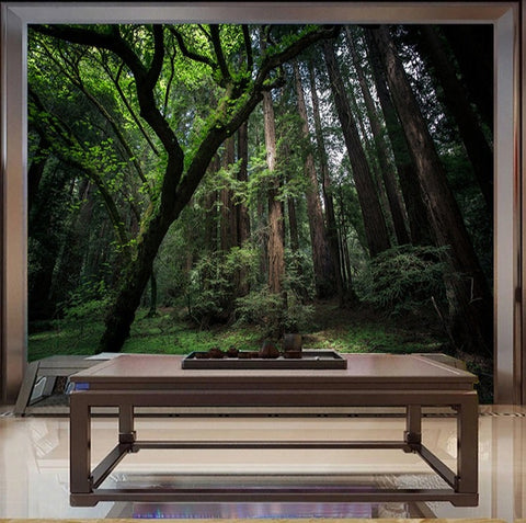 Image of Virgin Forest Landscape Wallpaper Mural, Custom Sizes Available Wall Murals Maughon's 