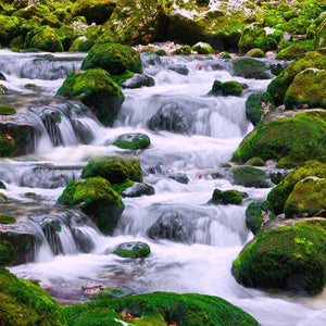 Waterfalls and Mossy Rocks Self Adhesive Floor Mural, Custom Sizes Available
