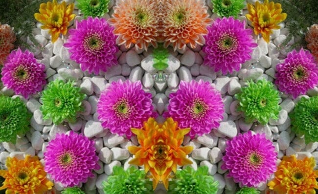 White Cobblestone With Colorful Flowers Floor Mural, Custom Sizes Available Floor Murals Maughon's 