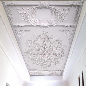 White Ornate Wall or Ceiling Relief Medallion Wallpaper Mural, Custom Sizes Available