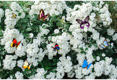 Image of White Roses and Butterflies Wallpaper Mural, Custom Sizes Available Wall Murals Maughon's 