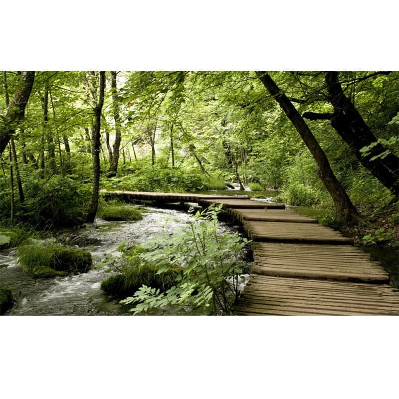 Wooden Bridge Over Forest Stream Wallpaper Mural, Custom Sizes Available Wall Murals Maughon's 