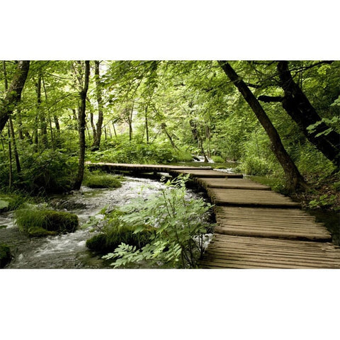 Image of Wooden Bridge Over Forest Stream Wallpaper Mural, Custom Sizes Available Wall Murals Maughon's 